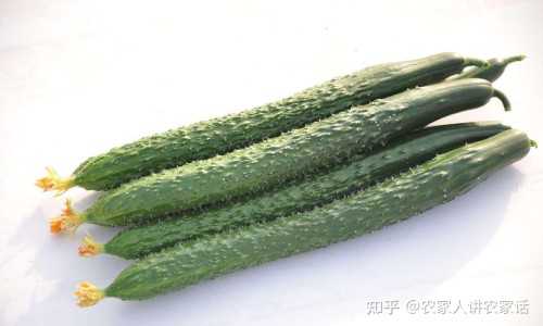 儿童抽多动症和儿童癫痫一样吗-小儿抽动症与多动症区别网—知名的小儿抽多动症治疗网站,分享小儿抽多动症发作是怎么样的知识