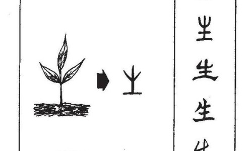 小儿抽动症与多动症区别网—知名的小儿抽多动症治疗网站,分享小儿抽多动症发作是怎么样的知识